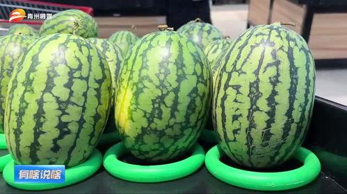 潍坊吃瓜网红有哪些公司,潍坊吃瓜网红背后的公司概览 第2张 潍坊吃瓜网红有哪些公司,潍坊吃瓜网红背后的公司概览 第2张