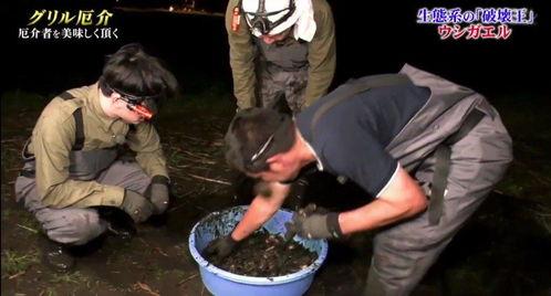 牛哥爆料大全视频,揭秘热门事件幕后真相